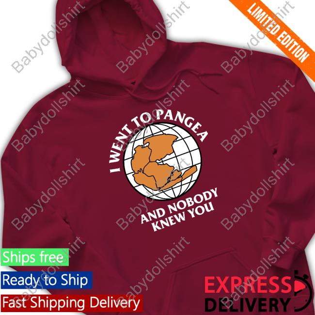 Shitheadsteve Merch I Went To Pangea And Nobody Knew You Shirt