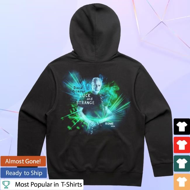 David Gilmour Italy Event LS Hoodie - David Gilmour