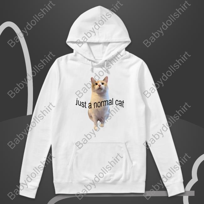 Official Just A Normal Cat Shirt