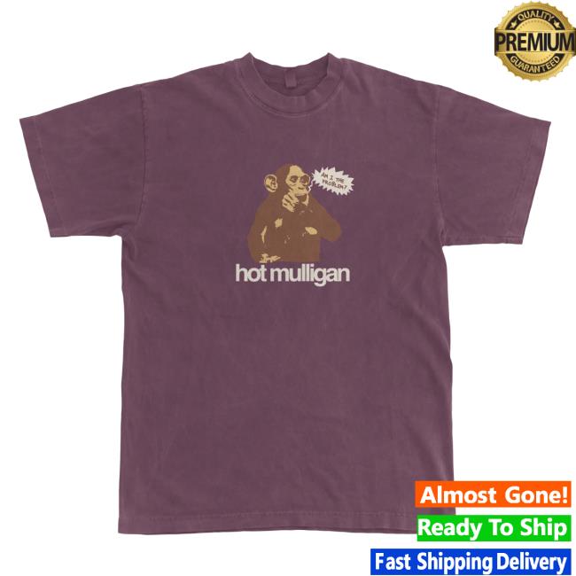 Official Hot Mulligan Thinking Chimp Top Shirt