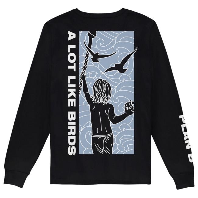 A Lot Like Birds Plan B LS