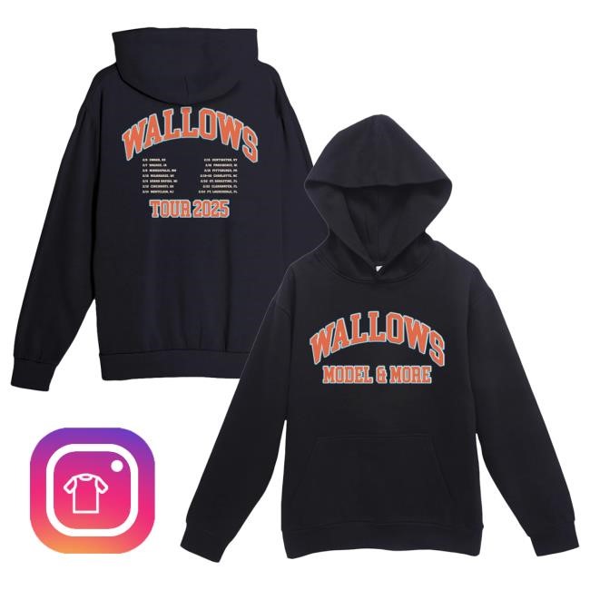 Official Wallows Merch Collegiate Hoody – February 2025