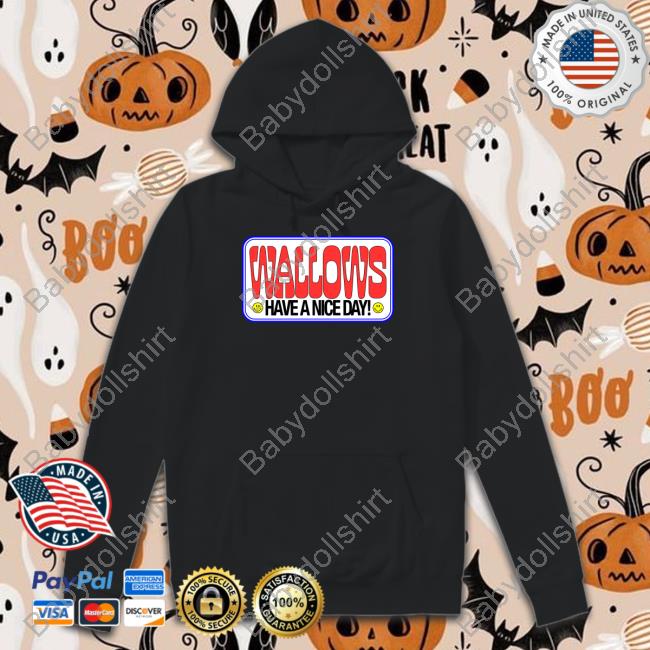 Official Wallows Merch Have A Nice Day Hoodie