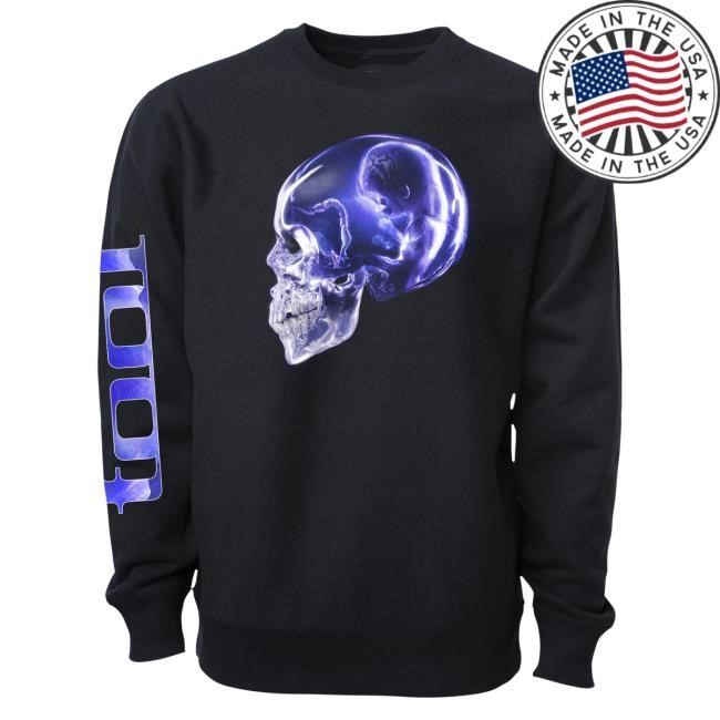 Fetus Skull Maquette Mens Sweatshirt | Tool Band Official Merch Store