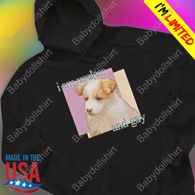 Shirts That Go Hard Dogecore Merch I Am Useless And Gay Tee Shirt