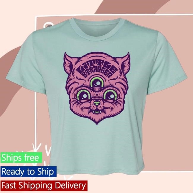 Official Little Stranger Merch Little Stranger All Seeing Cat Cropped Shirt