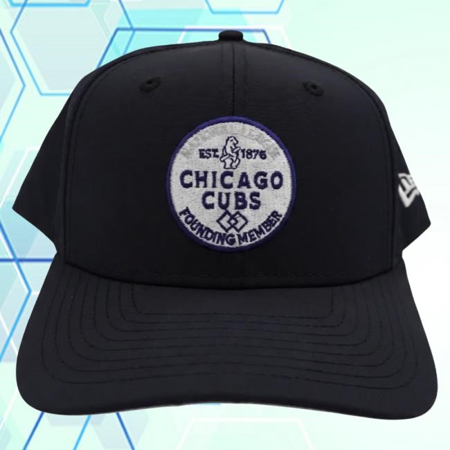 Stadium Gear Chicago Cubs Founding Member 970 Snapback New Era