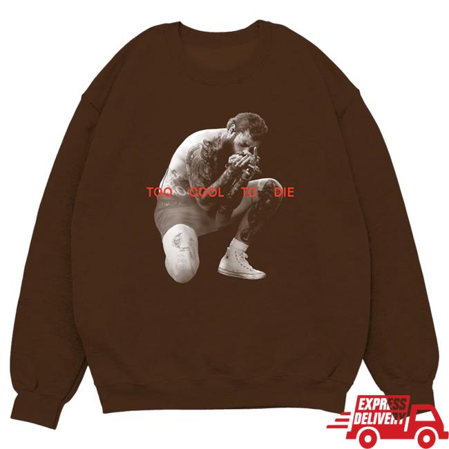 Official Post Malone Merch Store Post Malone Too Cool To Die Hoodies Post Malone Apparel Clothing Shop PostMalone