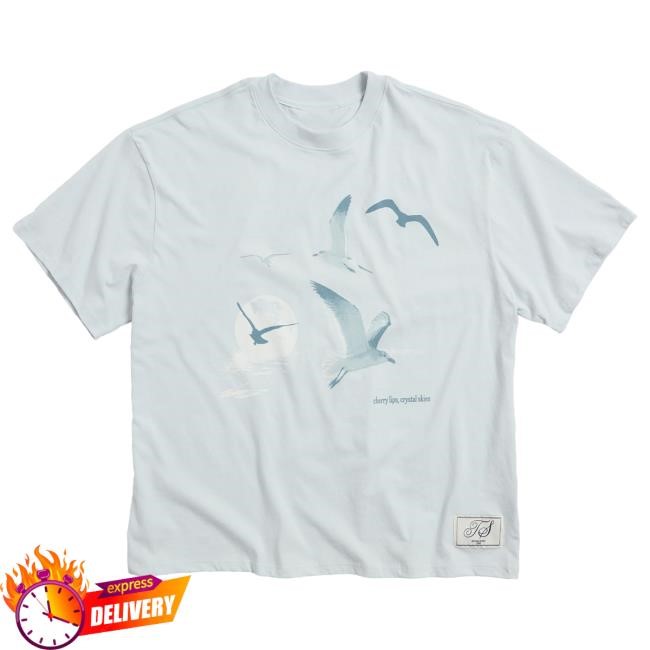 Official Taylor Swift Merch Store Taylor Swift 1989 (Taylor’s Version) Seagull Boxy T Shirt