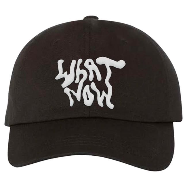 Official Brittany Howard Merch Store What Now Dad Hat