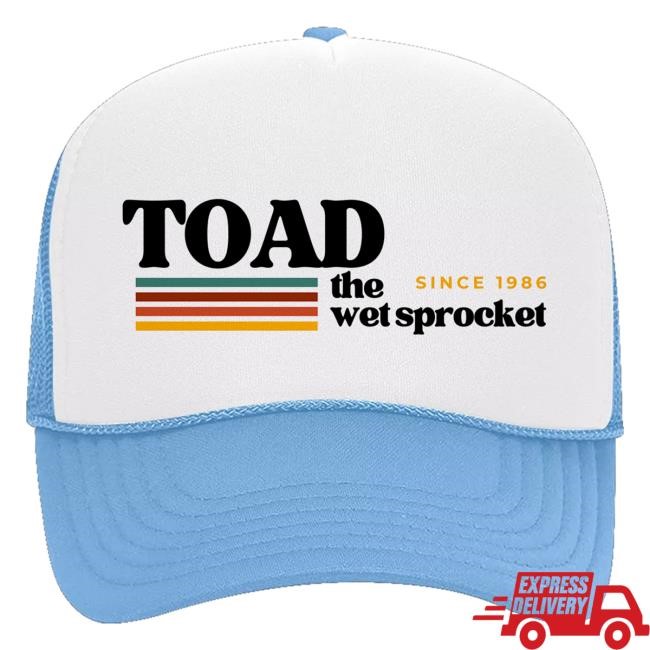 Toad The Wet Sprocket Cool Vibes Sky Blue Trucker Cap