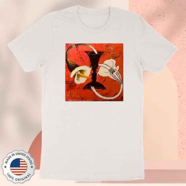 Official Toad The Wet Sprocket Dulcinea White Album Tee