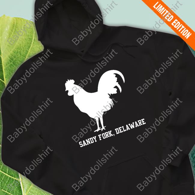 Sandy Fork Delaware Tee Shirt