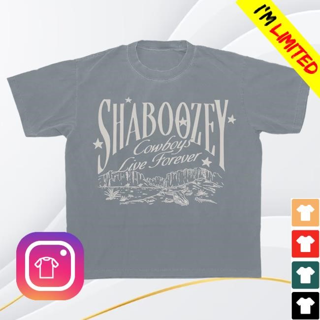 Official Complex Merch Store Shop Shaboozey Mountains Shirt 2025