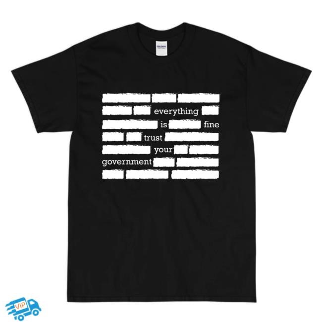 Everything Is Fine Trust Your Government New T-Shirt