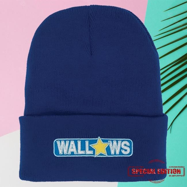 Official Wallows Merch Store Wallows Star Logo Beanie