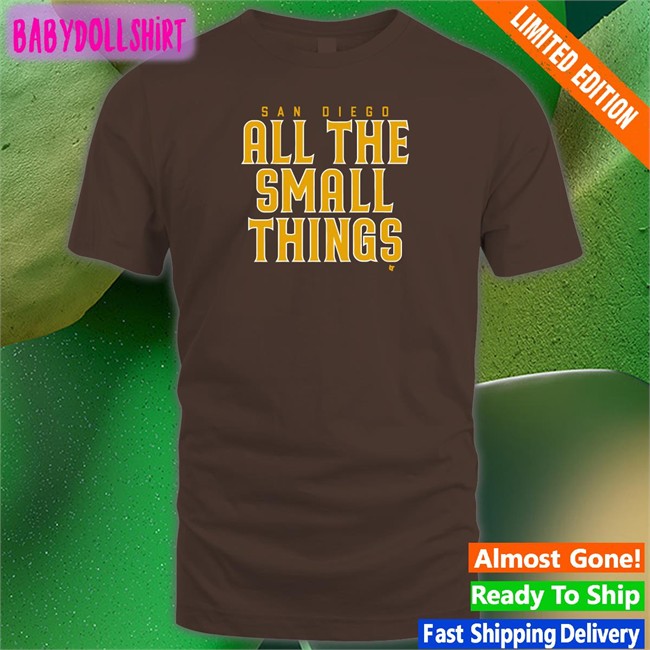 San Diego All The Small Things Hoodies Breakingt Merch